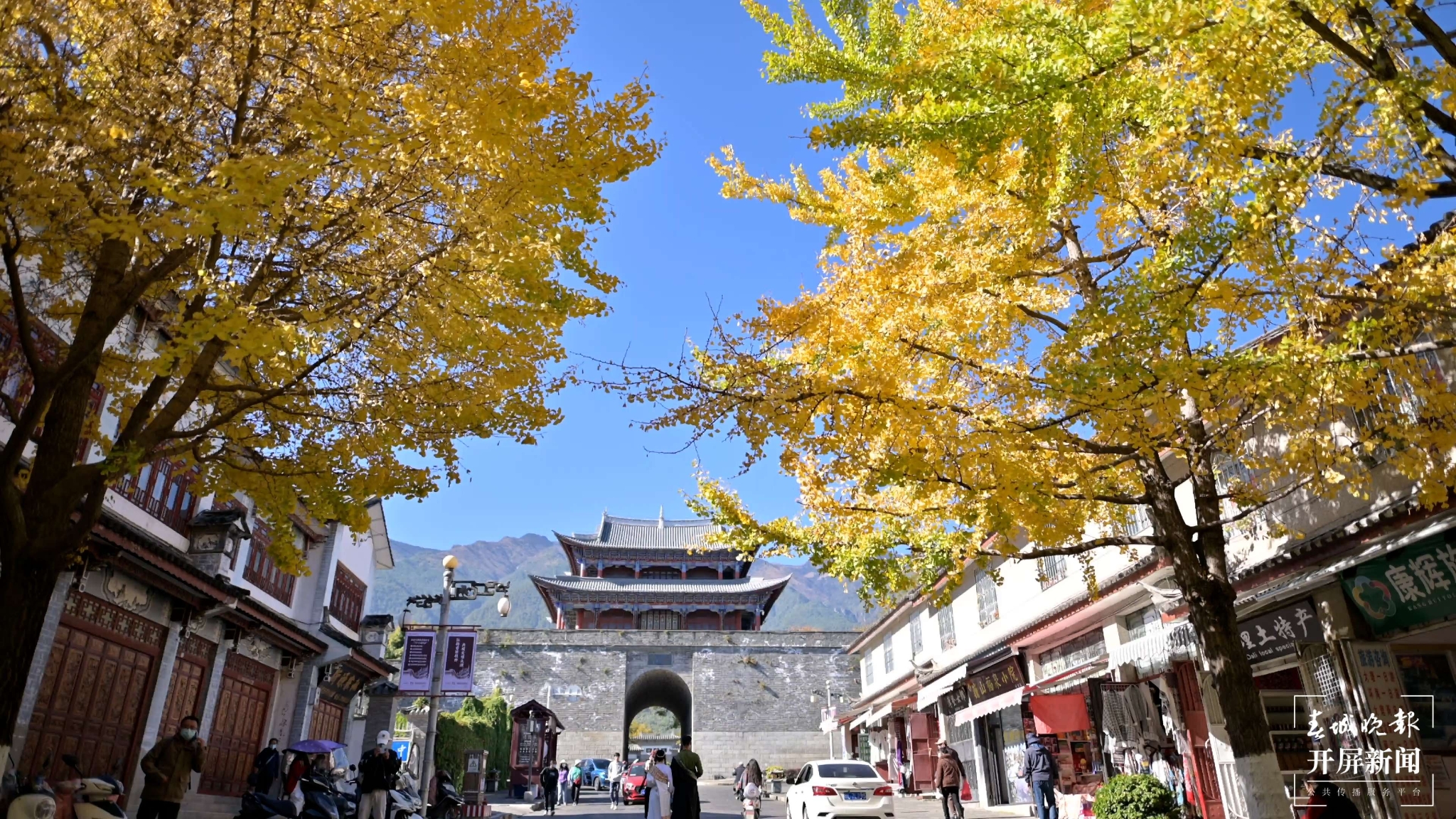 聽說大理古城冬日的浪漫,一半被這條路包攬~ (5).jpg