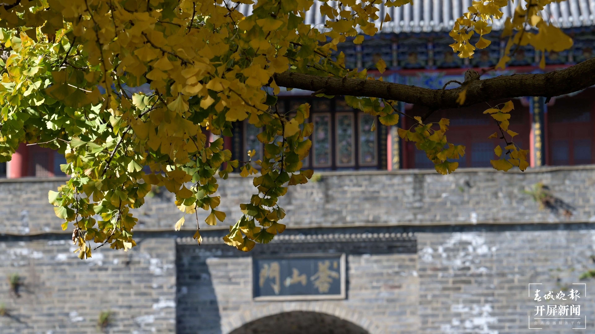 聽說大理古城冬日的浪漫,一半被這條路包攬~ (8).jpg