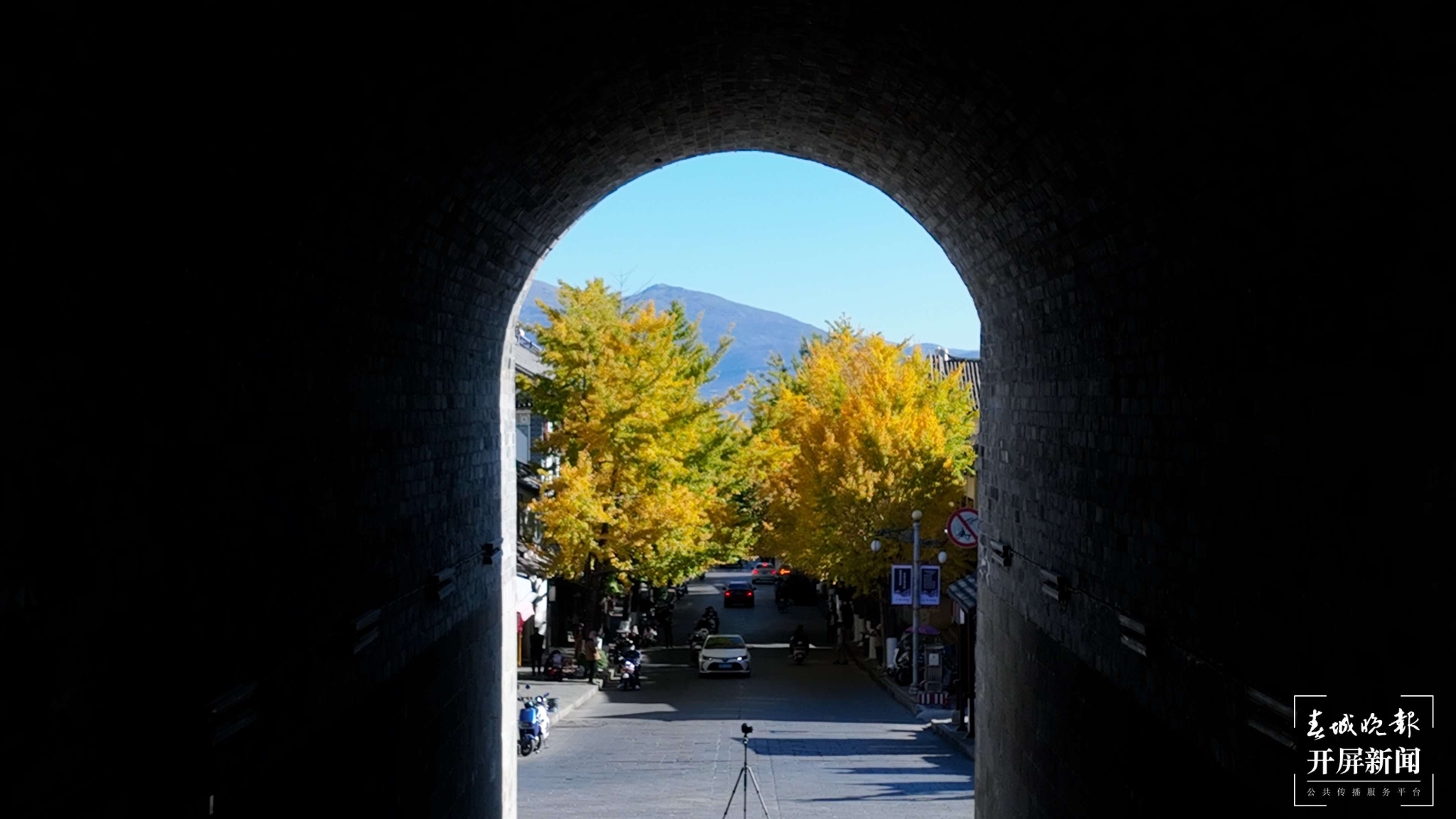 聽說大理古城冬日的浪漫,一半被這條路包攬~ (9).jpg