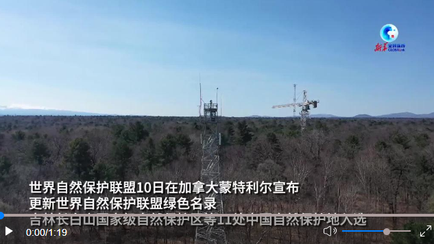 微信截圖_20221214202002