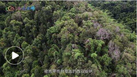 QQ截圖20221215151025 QQ截圖20221215151025