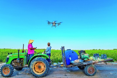扎根大漠 逐夢棉田 扎根大漠 逐夢棉田