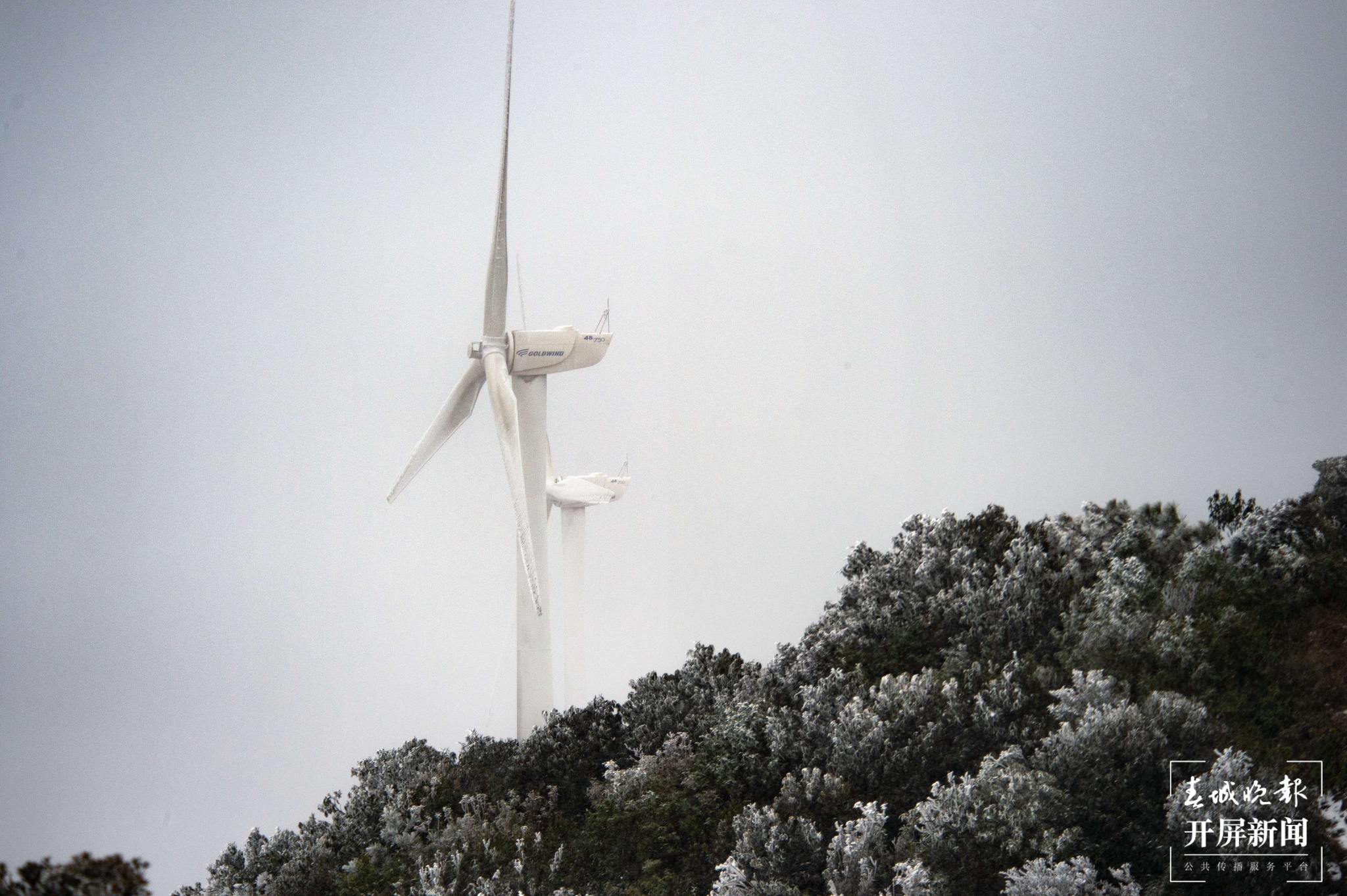 者磨山霧凇奇觀，驚艷大理冬日時光！ (10).jpg