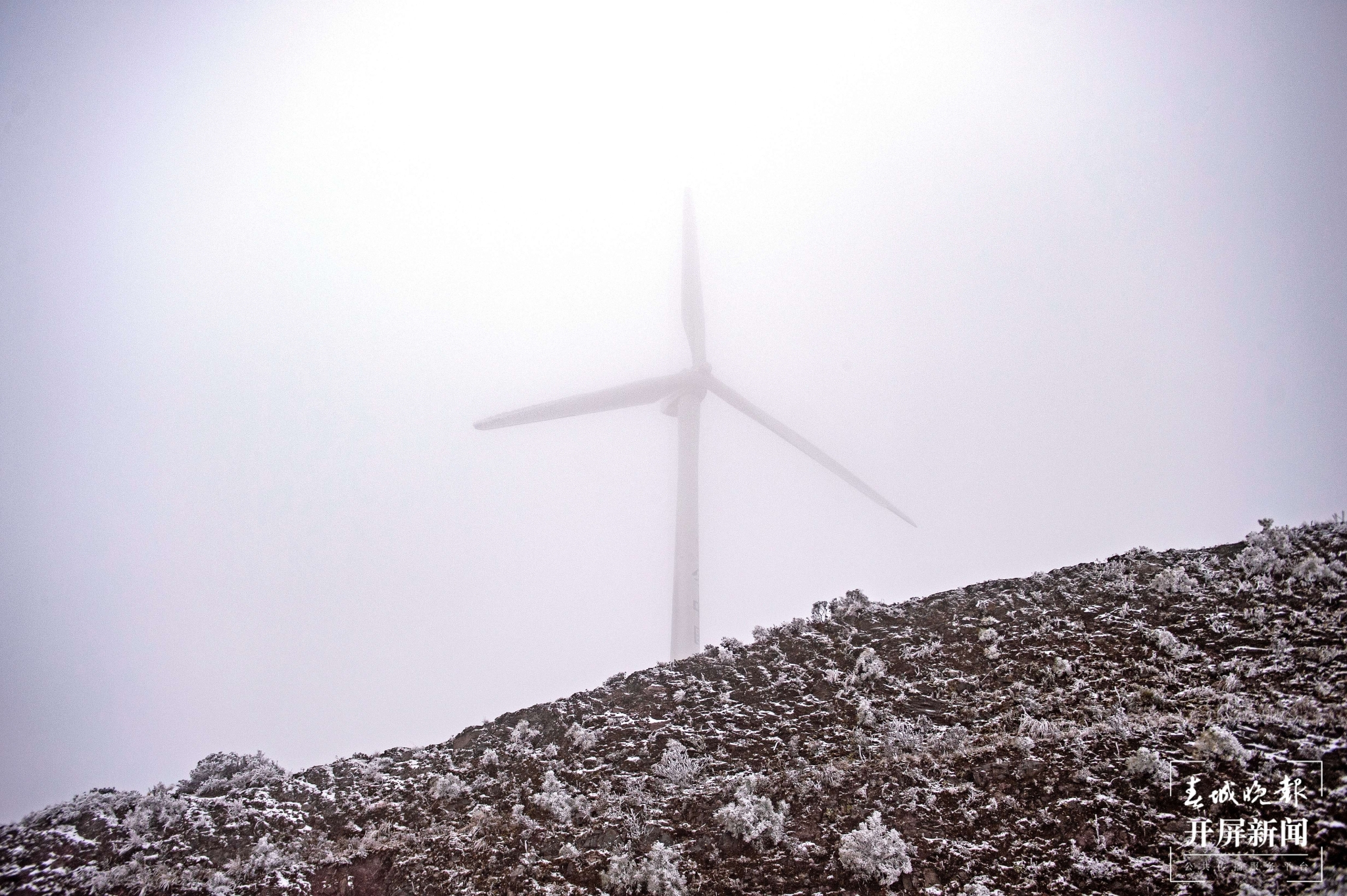 者磨山霧凇奇觀，驚艷大理冬日時光！ (9).jpg