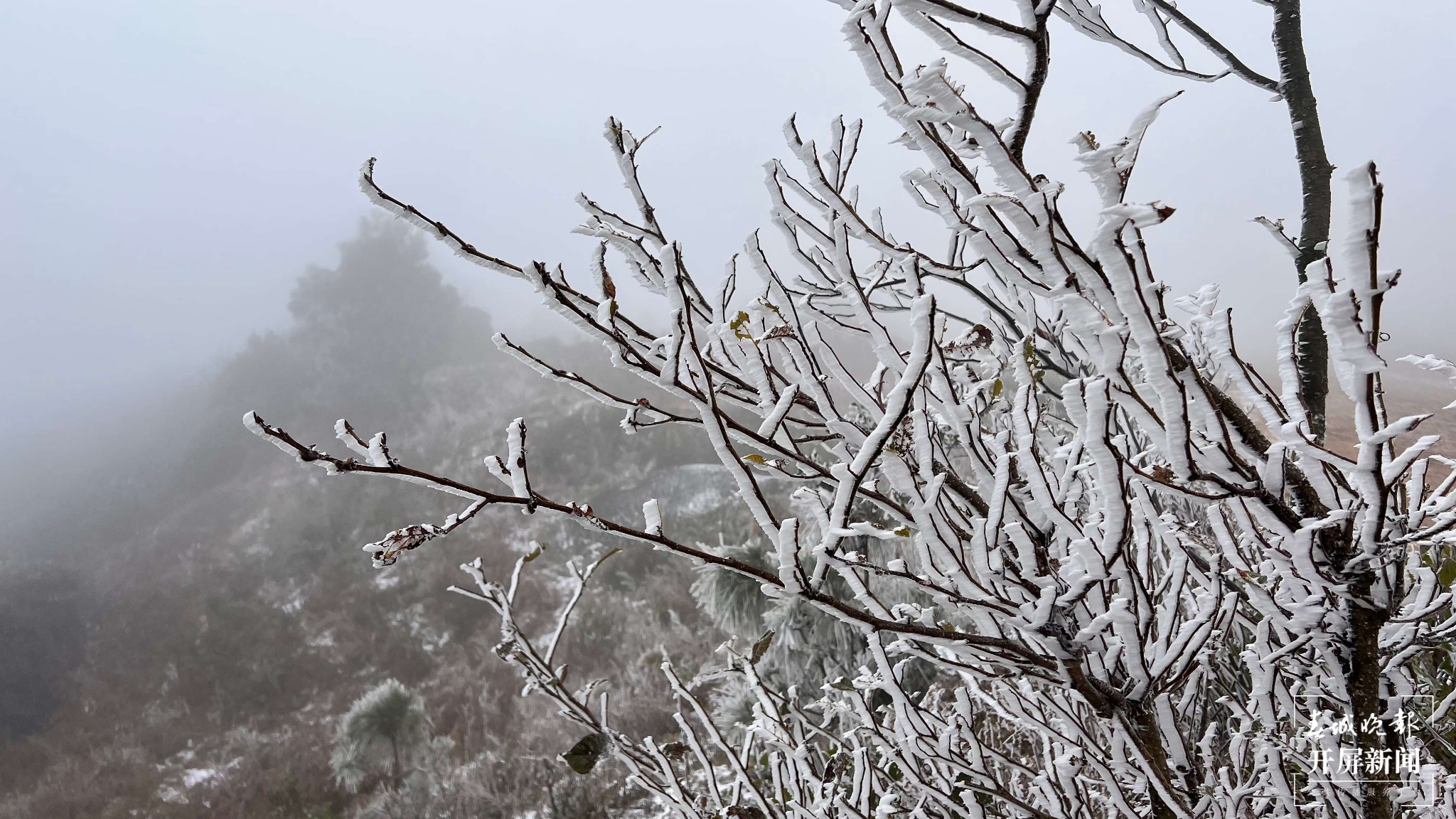 者磨山霧凇奇觀，驚艷大理冬日時光！ (14).jpg