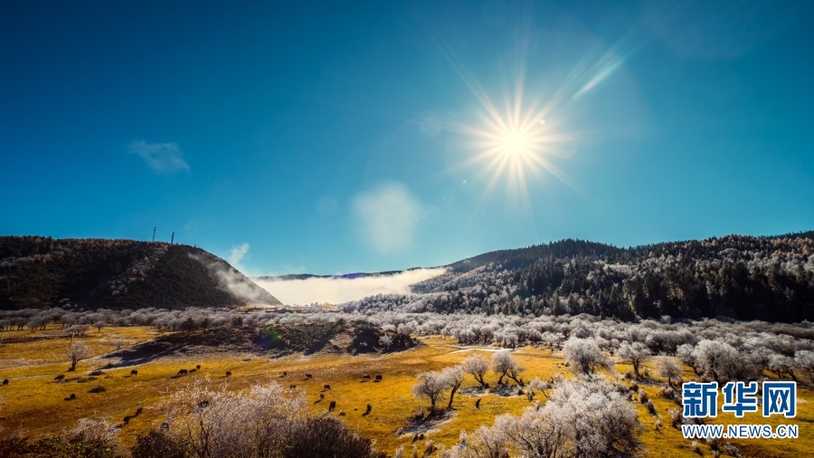 1310683332_16710742958021n 1310683332_16710742958021n