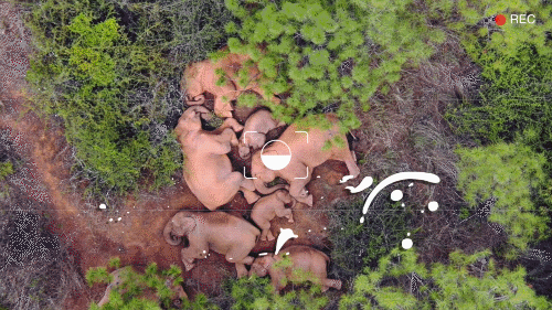 1310683332_16710743291491n 1310683332_16710743291491n