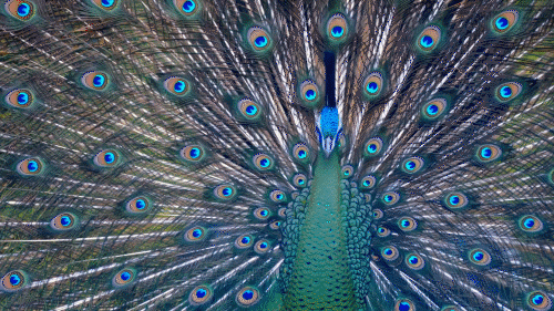 這首云南Rap歌名里的秘密 這首云南Rap歌名里的秘密