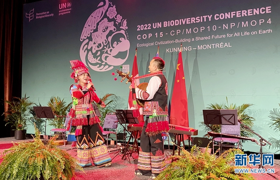 這首云南Rap歌名里的秘密