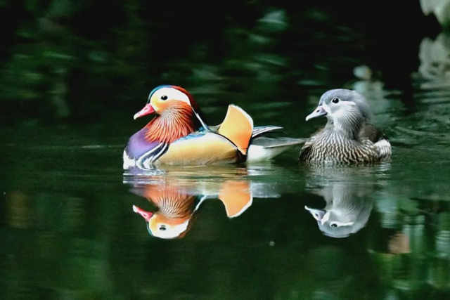 微信圖片_20221222155831 微信圖片_20221222155831