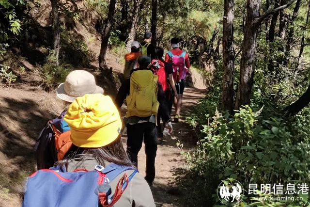 e3fb976aa91dbd51f9adae6091ec230