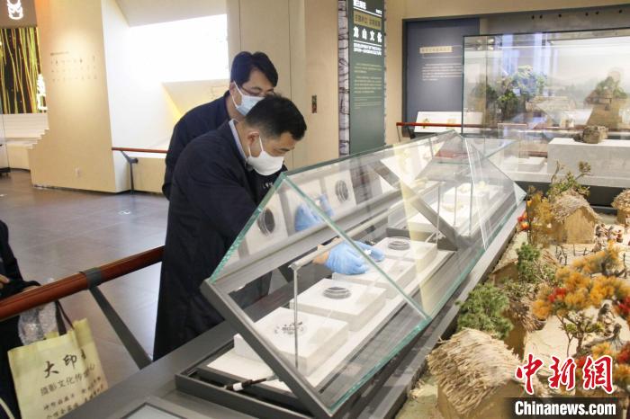 4500年前的“水稻”在山東日照對外展出