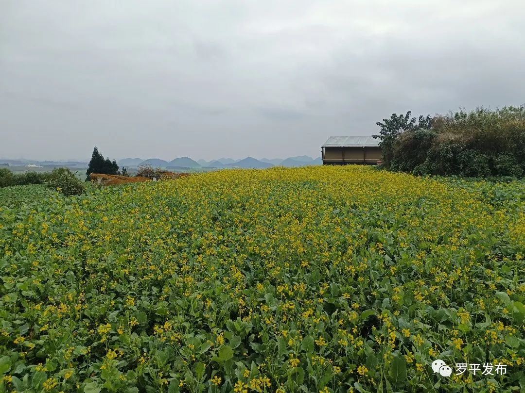 微信圖片_20221222084137.jpg 圖片