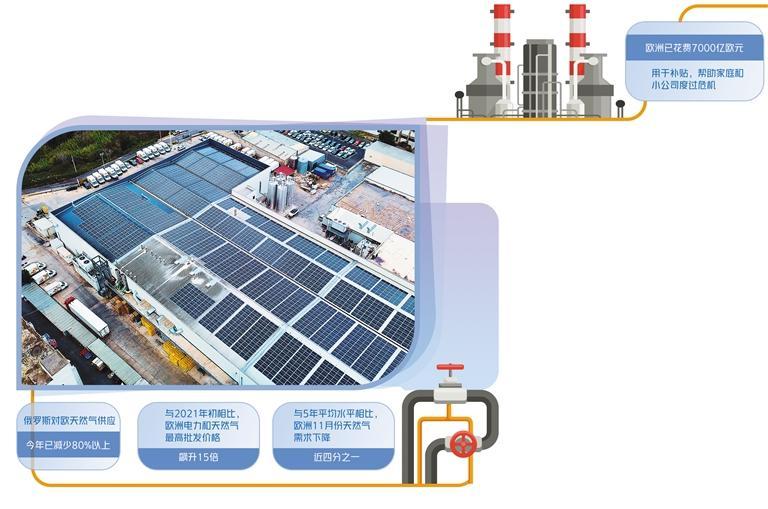 W020221224197348905565