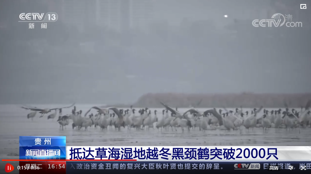 企業(yè)微信截圖_16721436883018