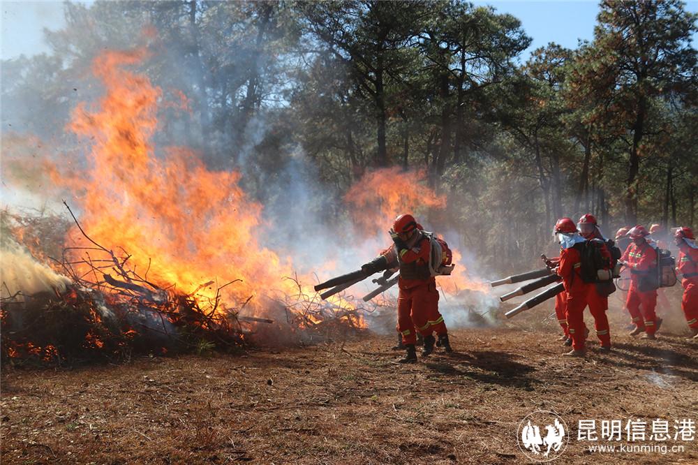 6密切配合協(xié)同