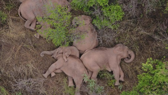 重磅！云南全新文旅形象宣傳片登陸央視，七彩云南等你來！