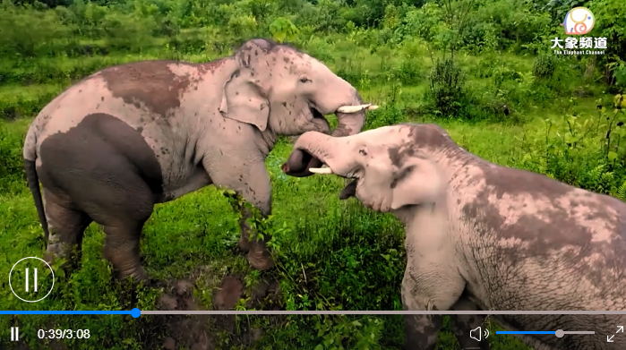 微信截圖_20230105152446