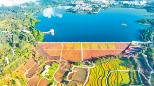 39201672943130734 39201672943130734