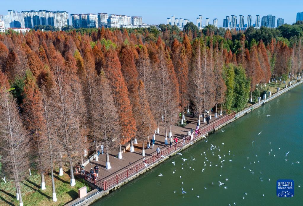 1310688596_16729658292151n 1310688596_16729658292151n