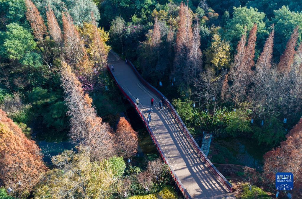 1310688596_16729658291331n 1310688596_16729658291331n