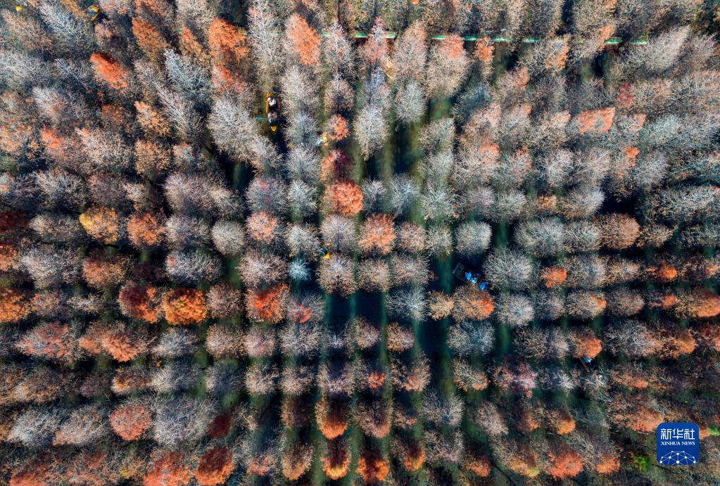 1310688596_16729658285041n 1310688596_16729658285041n