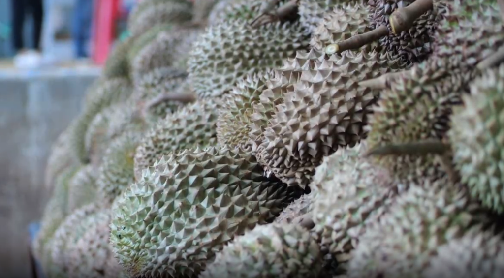 1129258034_16729030054971n 1129258034_16729030054971n