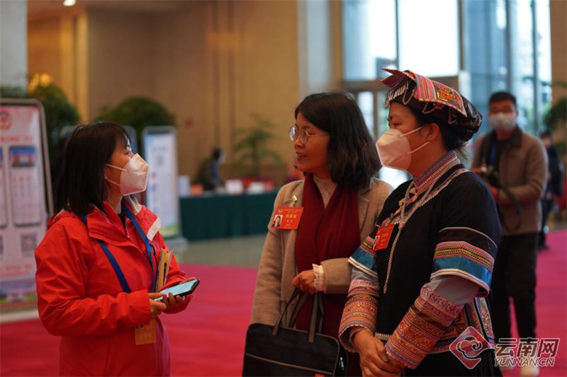 00305196658_42d1b9796 00305196658_42d1b9796