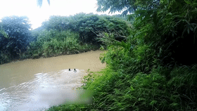 驚險追捕、護人護象，這是他們的戍邊生活