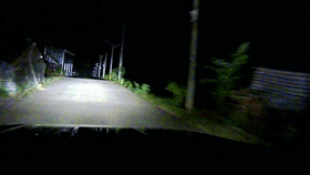 驚險追捕、護人護象，這是他們的戍邊生活