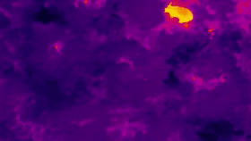 驚險追捕、護人護象，這是他們的戍邊生活