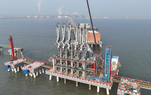 1310689621_16733944329151n