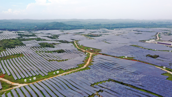 11華能新能源石林光伏發(fā)電。陳飛 攝.jpg