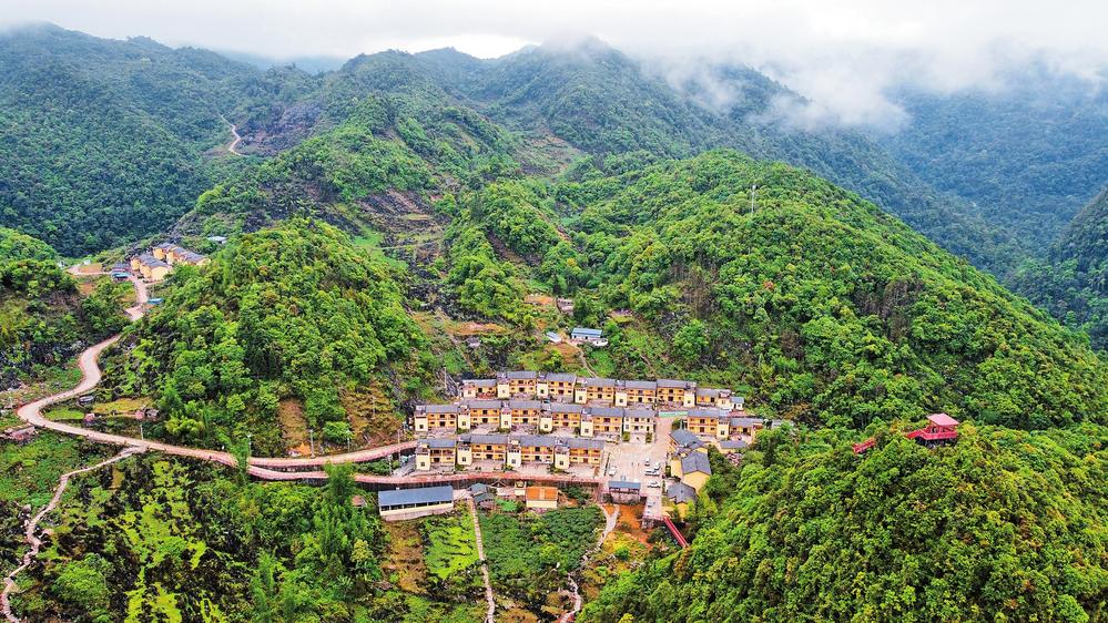 00305207676_874f45cc 00305207676_874f45cc