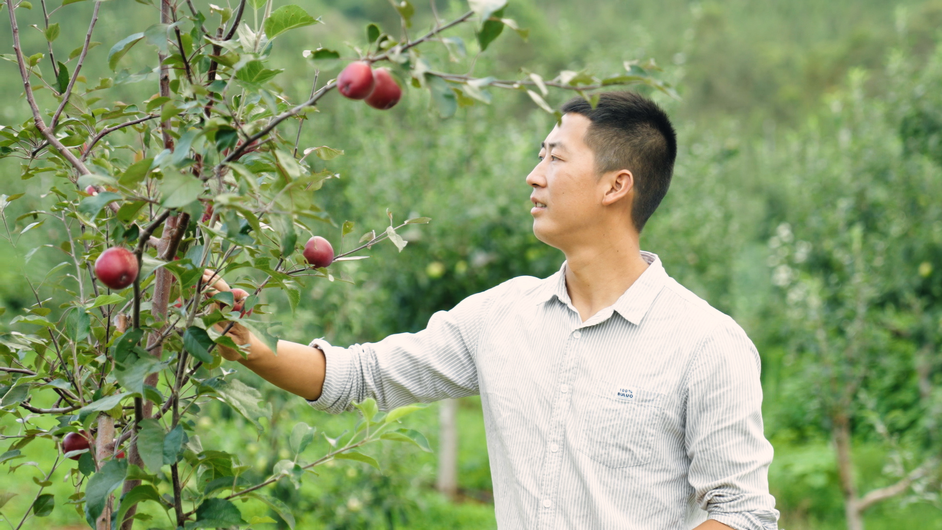 序列 01.00_01_13_22.Still003 序列 01.00_01_13_22.Still003