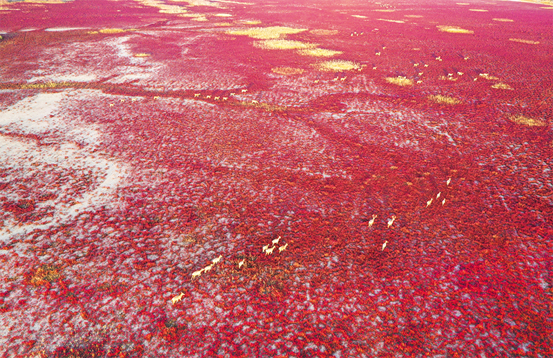 1129282913_16736639950821n 1129282913_16736639950821n