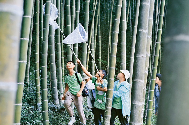 1129282913_16736640253481n 1129282913_16736640253481n