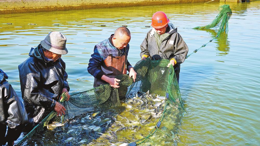 b274d5d3-d2d7-4b27-8134-b21ad674dca8