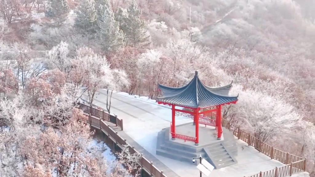 20230114d6023c7dafa34db4ab95ee41a64df890_20230114ea3390173b954cf399d2aef9c37a46a4