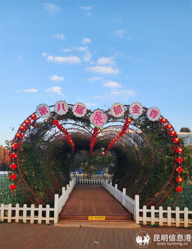 ac21c6c99c284be45e764bc805100ce0