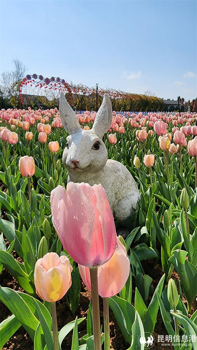 02b5c4d4291013b620a446364b046633