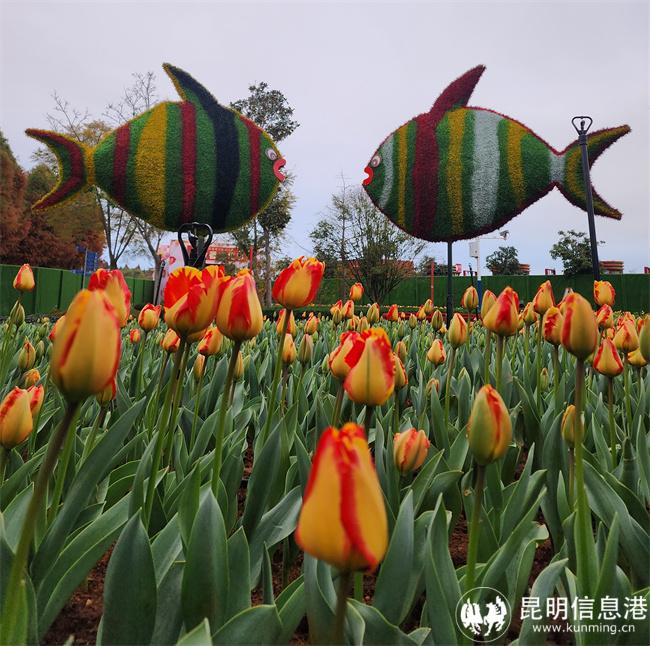 04ba8e9e5a62eff8a539ae9da2f580b5