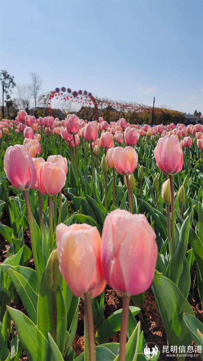 dee22e4012e0585d1e148bb403f492f2