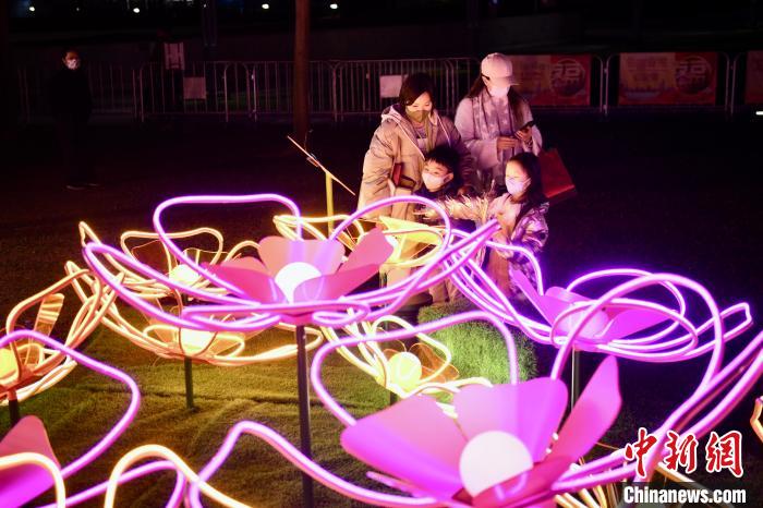 金鐘添馬公園的奇幻花海賀年裝飾?！±钪救A 攝