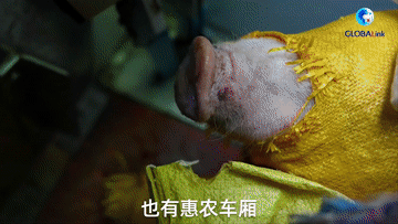 1129305940_16742860675911n (1) 1129305940_16742860675911n (1)