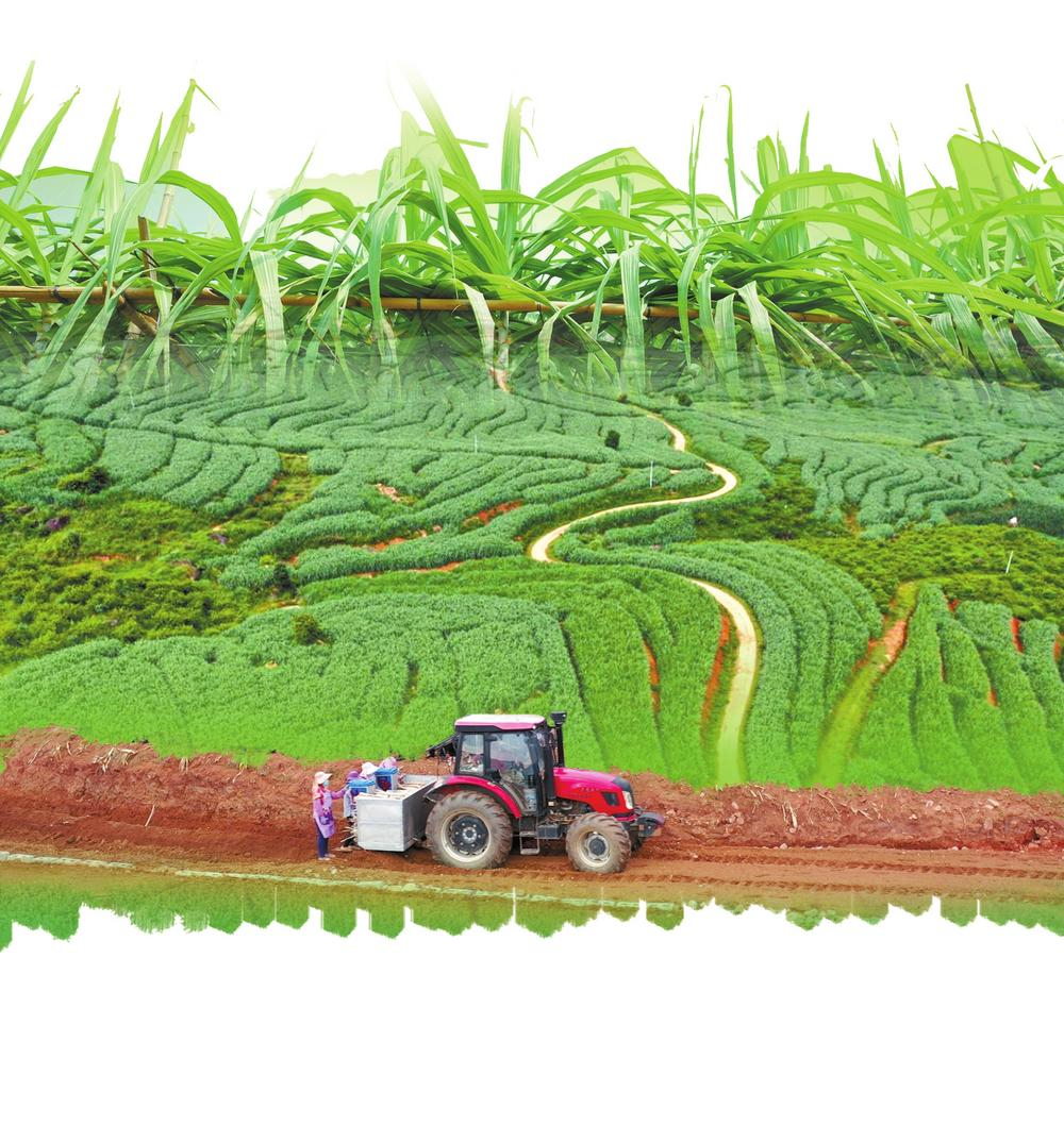 企業(yè)微信截圖_16743509775018