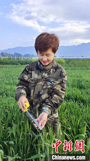 圖為“南繁”的張春艷。　額爾古納融媒體中心供圖