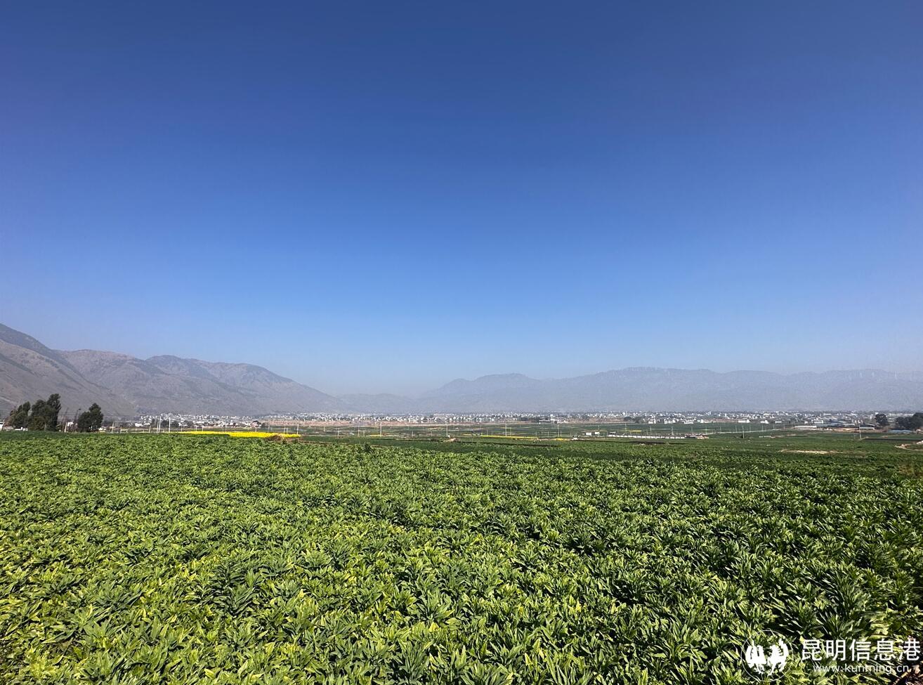 QQ截圖20230131143416 QQ截圖20230131143416