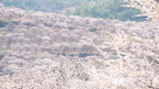 565e8ecfe93c99485943eb7ba776f79 565e8ecfe93c99485943eb7ba776f79