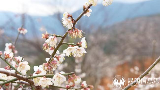 34f9c5479863bcdddfce83c67a16d98 34f9c5479863bcdddfce83c67a16d98